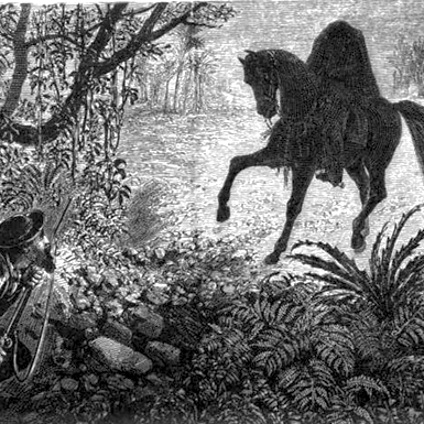 Black and white illustration of a horse in a forest setting