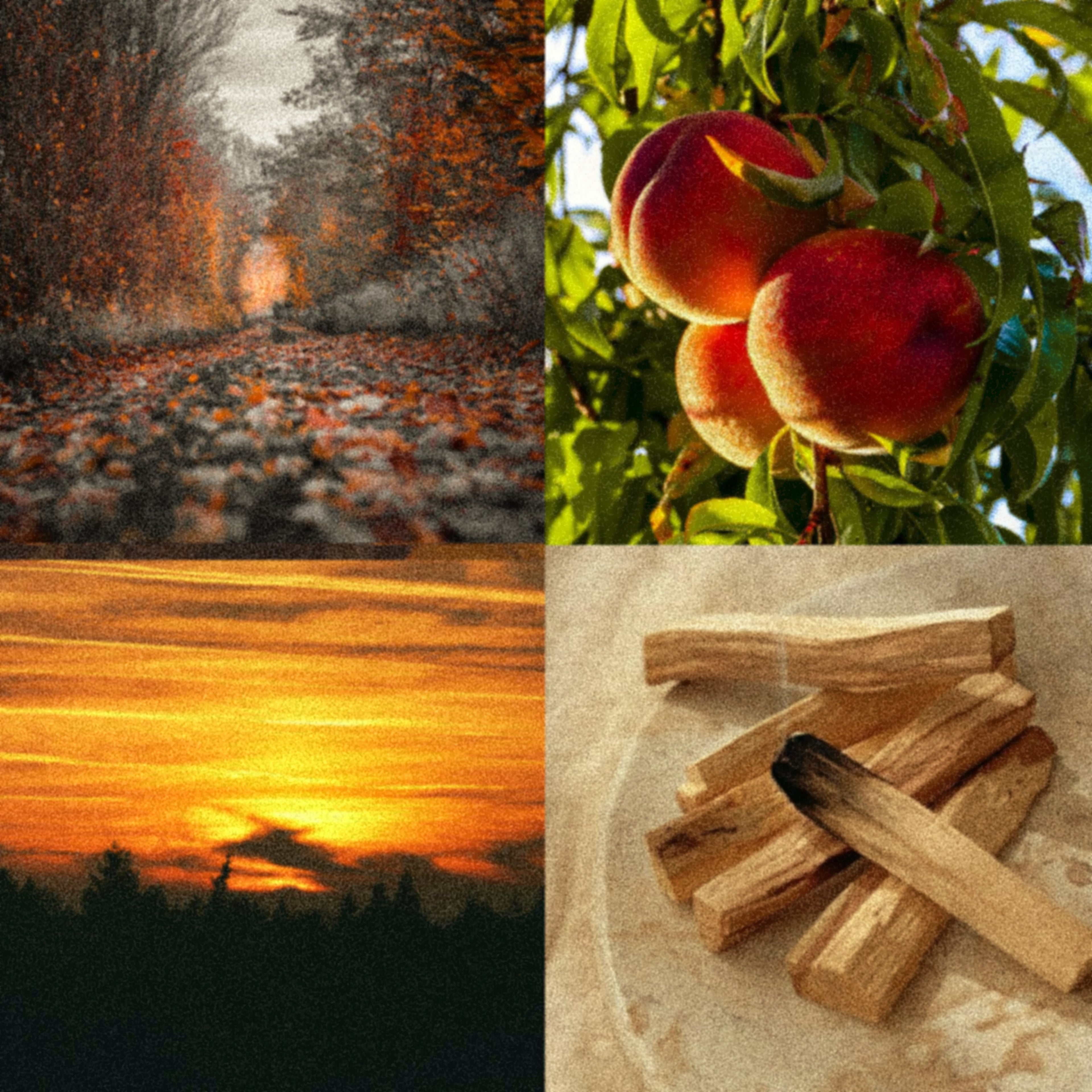 Collage of four images: autumn landscape, peaches on a tree, sunset over a forest, and palo santo sticks.